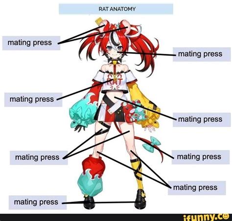 a mating press|mating press